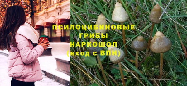 ГАЛЛЮЦИНОГЕННЫЕ ГРИБЫ Алексеевка