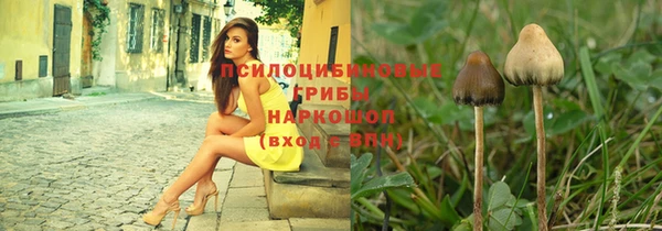 твердый Алексин