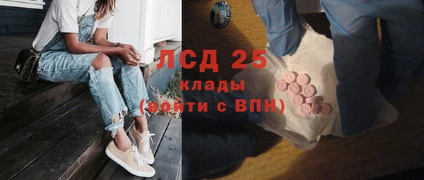 ГАЛЛЮЦИНОГЕННЫЕ ГРИБЫ Алексеевка
