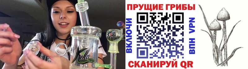 Псилоцибиновые грибы прущие грибы  hydra вход  Белоозёрский 